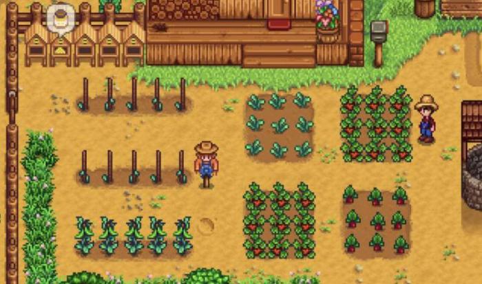 星露谷物语超市和献祭怎么选2