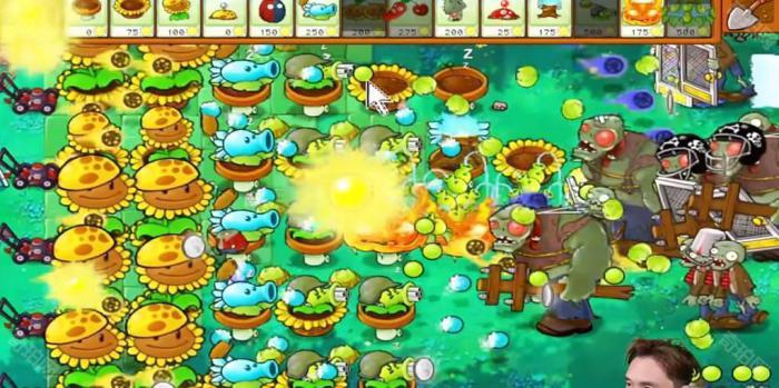 《植物大战僵尸杂交版》冒险模式第38关通关攻略6