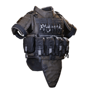 萤火突击雷蒙德暴熊涂装护甲有什么用2