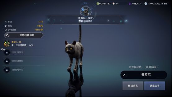 黑色沙漠黑色瘦猫任务攻略4