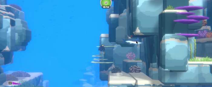 潜水员戴夫旗鱼在哪1