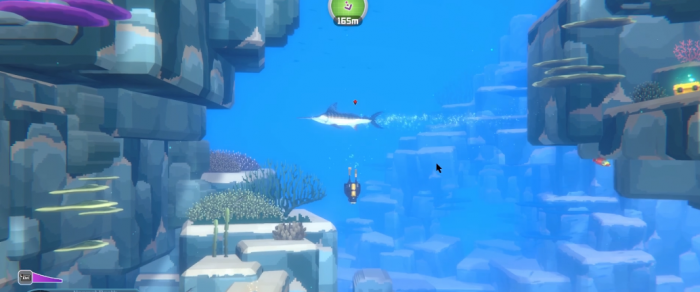 潜水员戴夫旗鱼在哪2