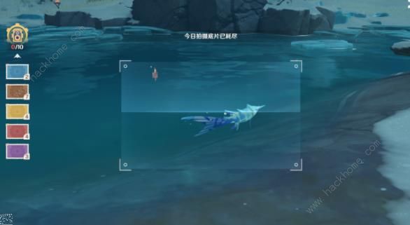 原神基本呈蓝色的野生生物在哪12