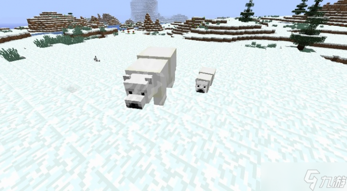 我的世界怎么喂北极熊_我的世界喂北极熊怎么养