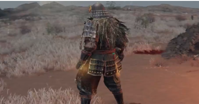 艾尔登法环前期护甲推荐最新是什么2